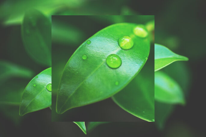 2023 The Environment and Me Gallery