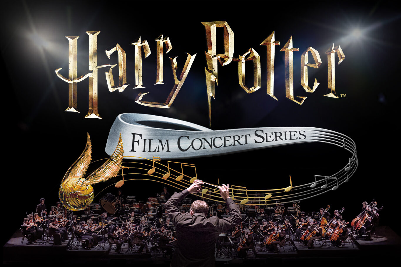 2024 Harry Potter Voting Gallery